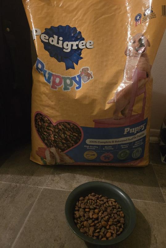 PEDIGREE Puppy Growth and Protection Chicken and Vegetable Flavor