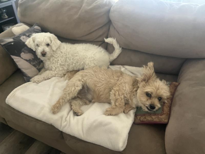 Lucy and Freddy