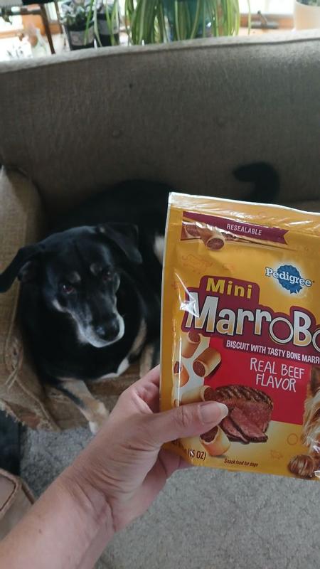 Pedigree MARROBONE Toy Small Dog Treats Real Beef Flavor Crunchy Dog Biscuits PED32138 Blain s Farm Fleet