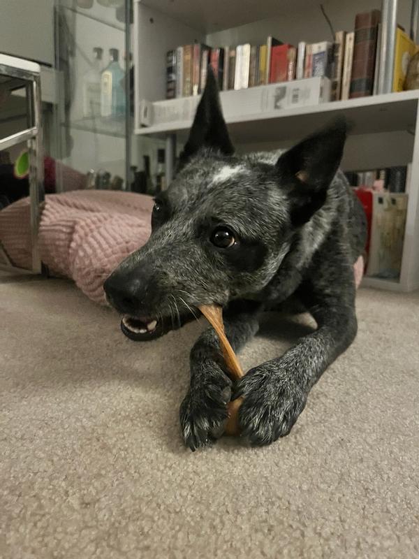 Photo - commentaire&nbsp;1.