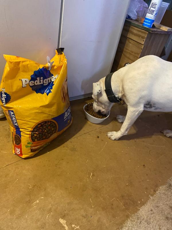 color variation royal canin dog food Royal Canin Size Health Nutrition Medium Puppy Dry Dog Food