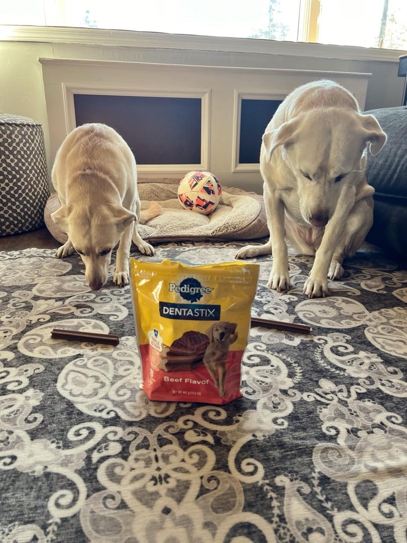 Pedigree Dentastix Original Beef Fresh Variety Pack Large Dog Dental Treats 2.73 lbs. Count of 51 Petco