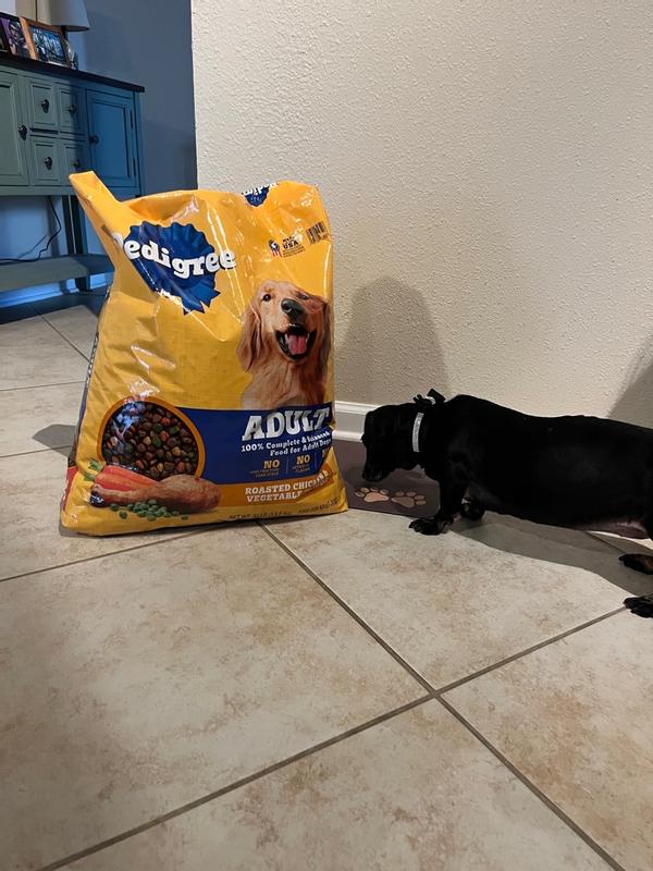 PEDIGREE Complete Nutrition Adult Dry Dog Food Grilled Steak