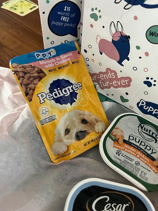 Pedigree puppy morsels in sauce with chicken shop