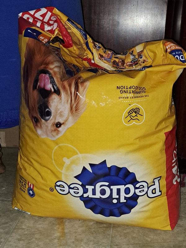 Pedigree dog food price 1 sack best sale