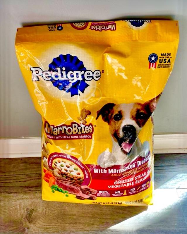 PEDIGREE Small Dog Complete Nutrition Small Breed Adult Dry Dog Food G Petsense