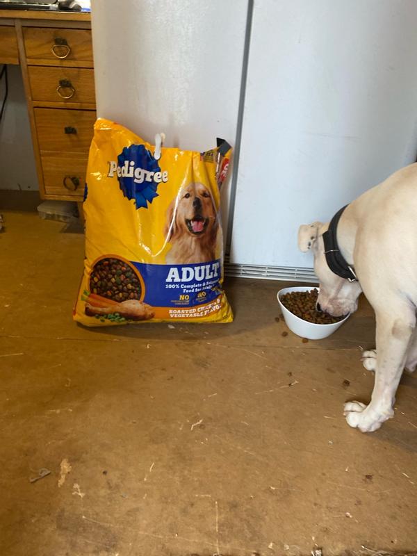 orijen 6 fish dog food Orijen Six Fish Grain-Free High-Protein Dry Dog Food