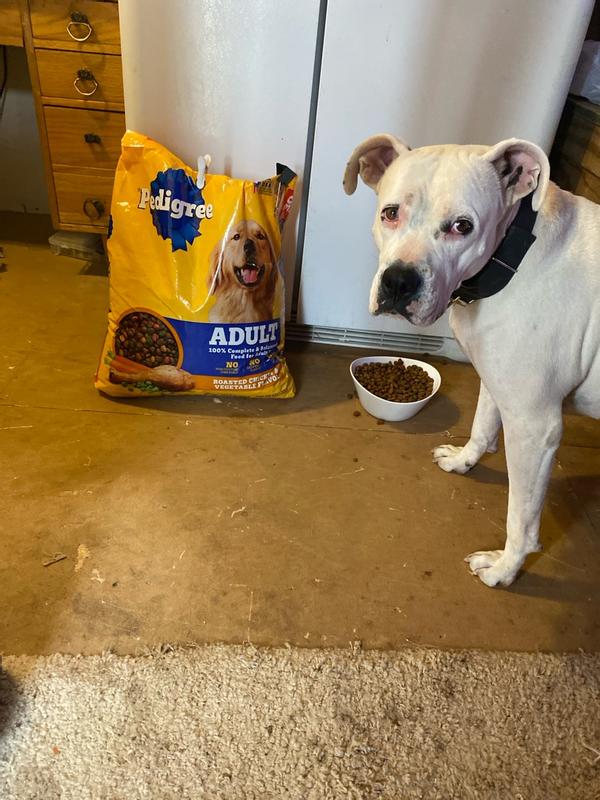 basic instincts dog food RED DOG BLUE KAT】Frozen Cat Food main image 0