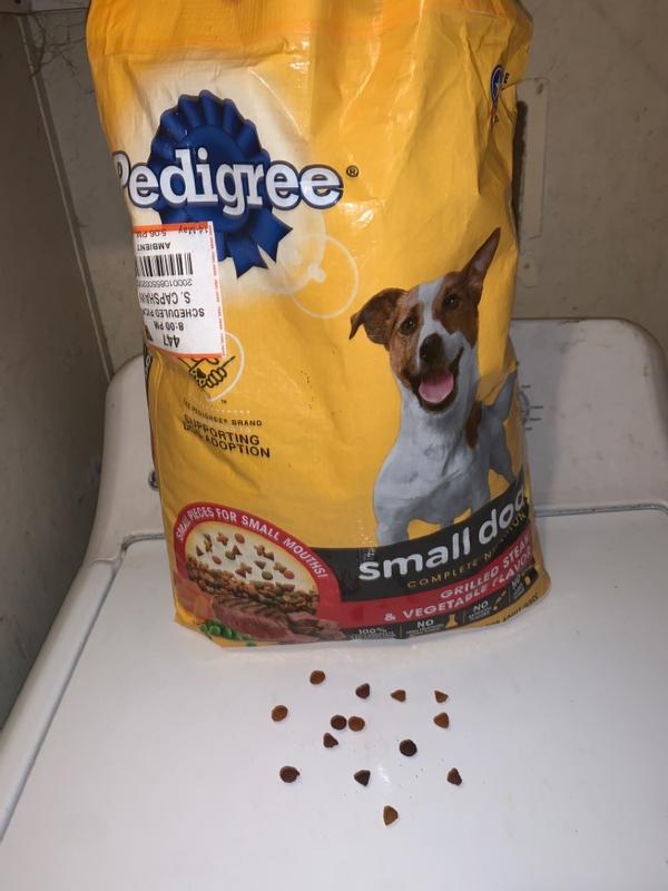 Pedigree little outlet bites