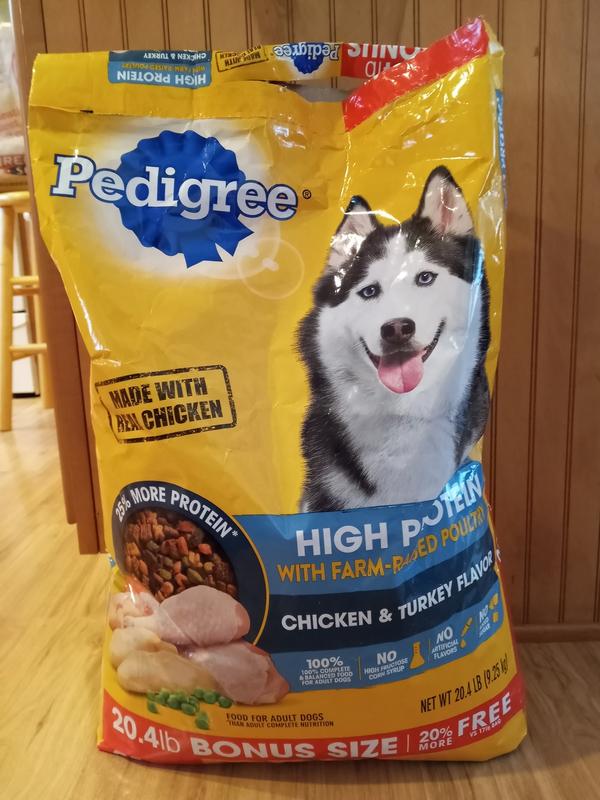 Protein in outlet pedigree dog food