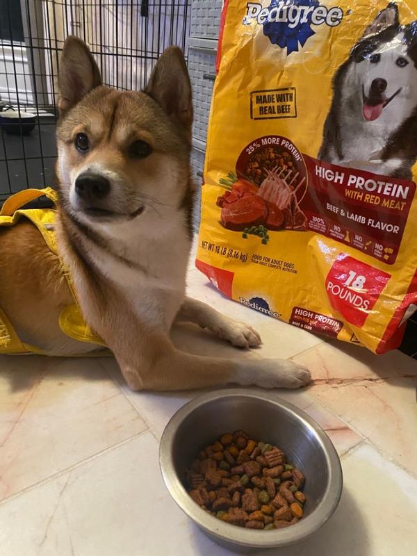 High meat outlet protein dog food