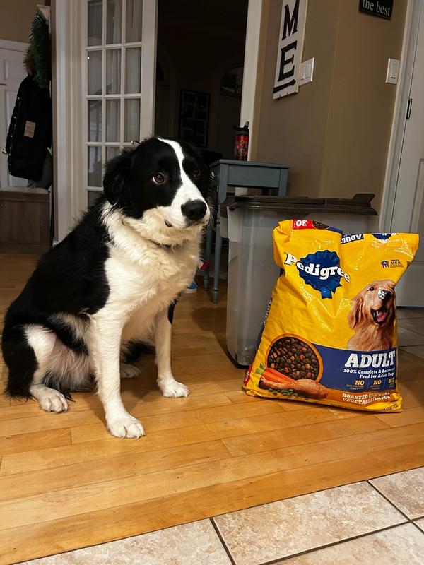 Pedigree Best Kibble For Large Breed Dogs Pedigree® High Protein