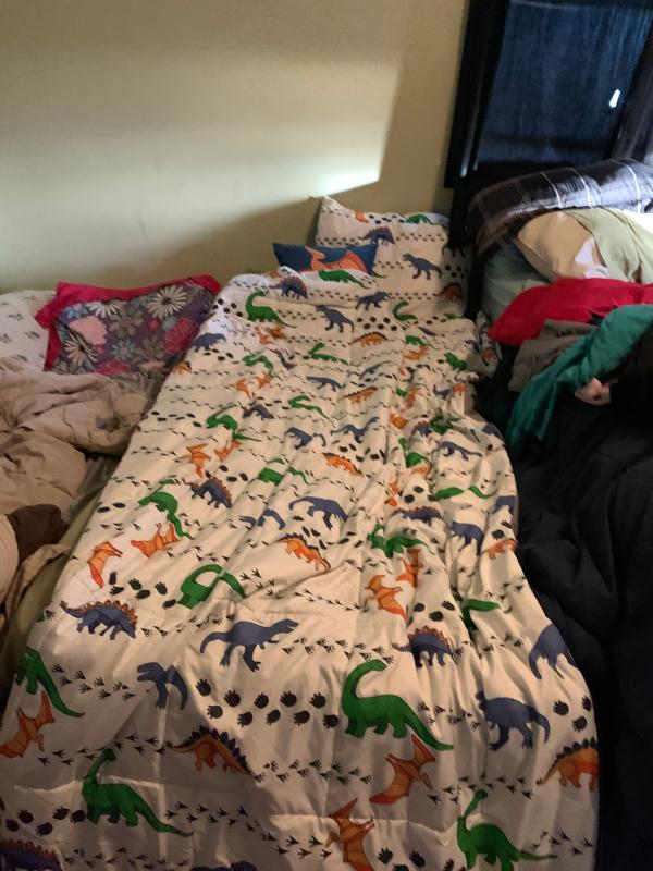 Macys dinosaur bedding hotsell