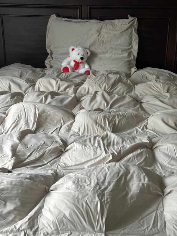 Comforter