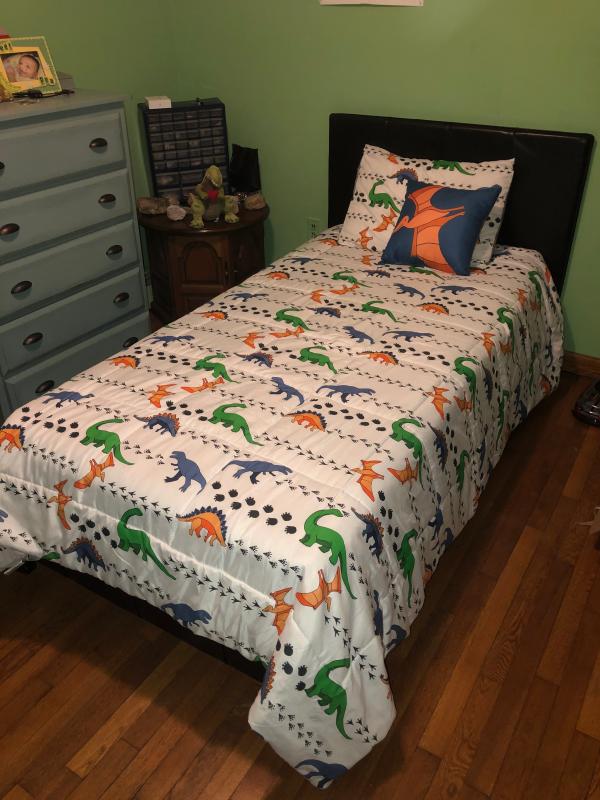 Macys dinosaur bedding best sale