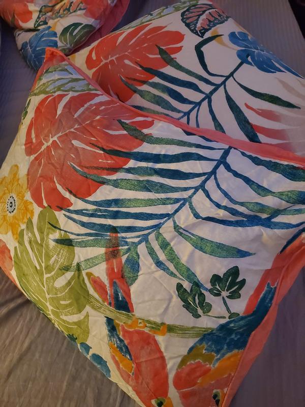 Photo from Texasmama6