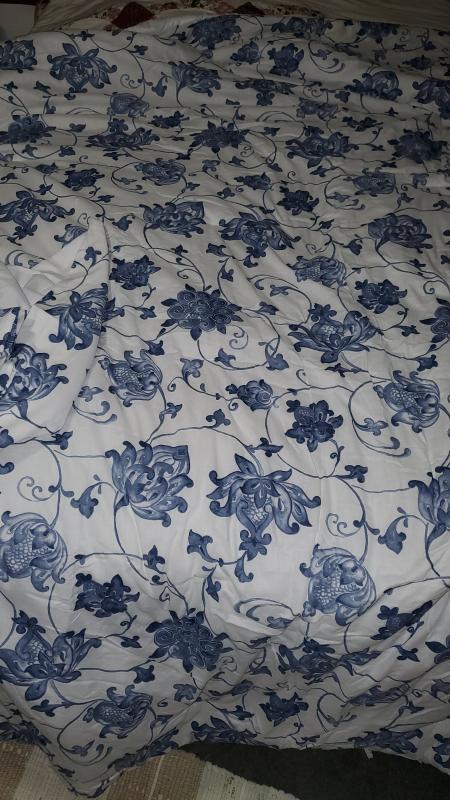 Photo from Sheree379