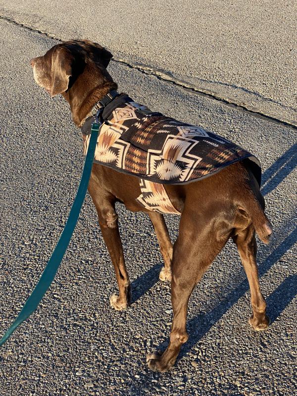 Pendleton wool outlet dog coat