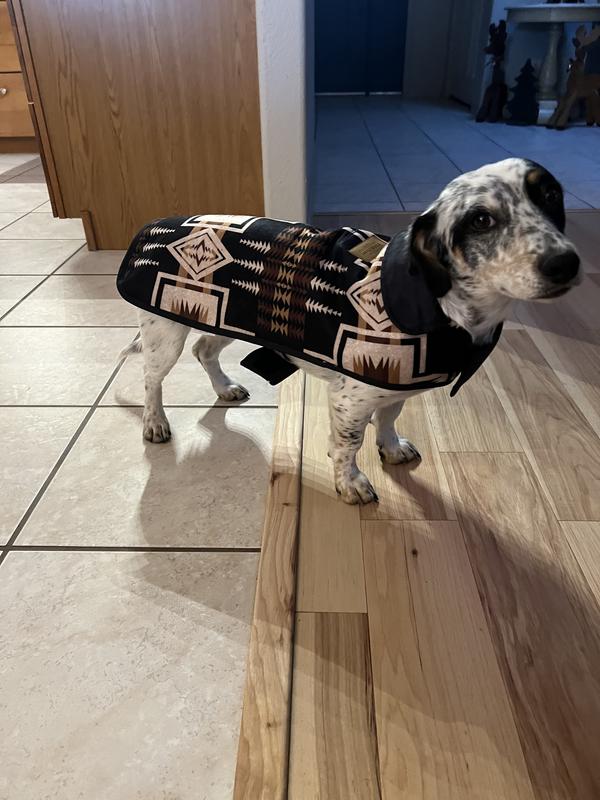 Pendleton dog outlet sweater