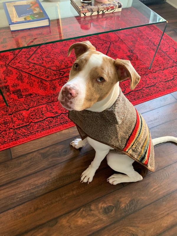 Review Thumbnail Image 0 214076942