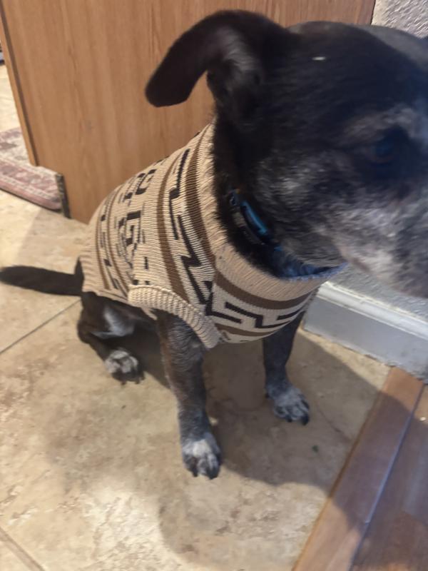 Buy Westerley Pet Sweater Iconic Cozy Knit for Pets | Pendleton