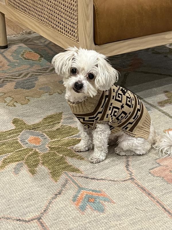 Big lebowski shop dog sweater