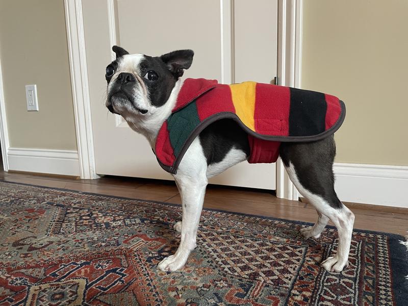 Pendleton wool outlet dog coat