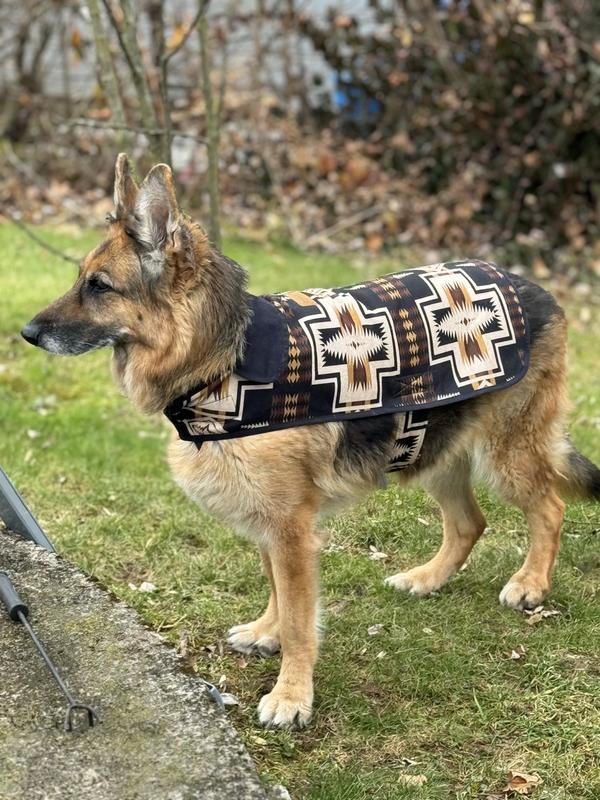 Pendleton wool hotsell dog coat