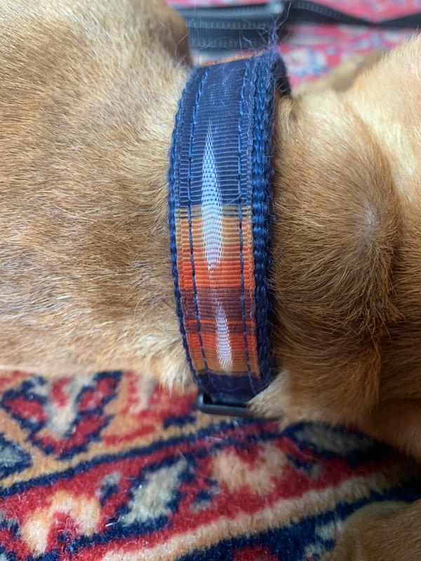 Pendleton National Park Yosemite Hiker Dog Collar