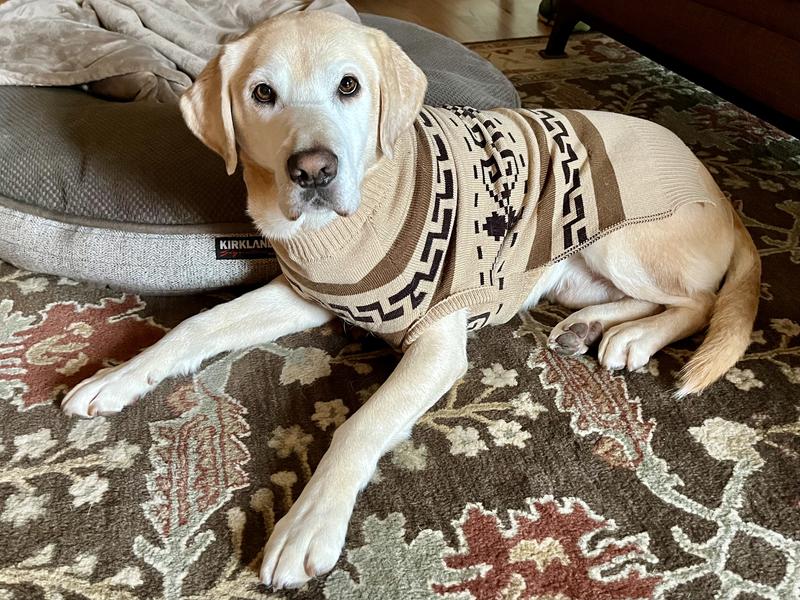 【XLサイズ】PENDLETON ウェスタリー ペットセーター PENDLETON（ペンドルトン） 犬用セーター XLサイズ 寒い日でも大丈夫
