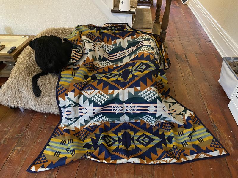 Pendleton journey west blanket cheap
