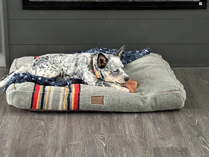 Buy Cozy Yakima Camp Dog Beds For Ultimate Comfort Pendleton