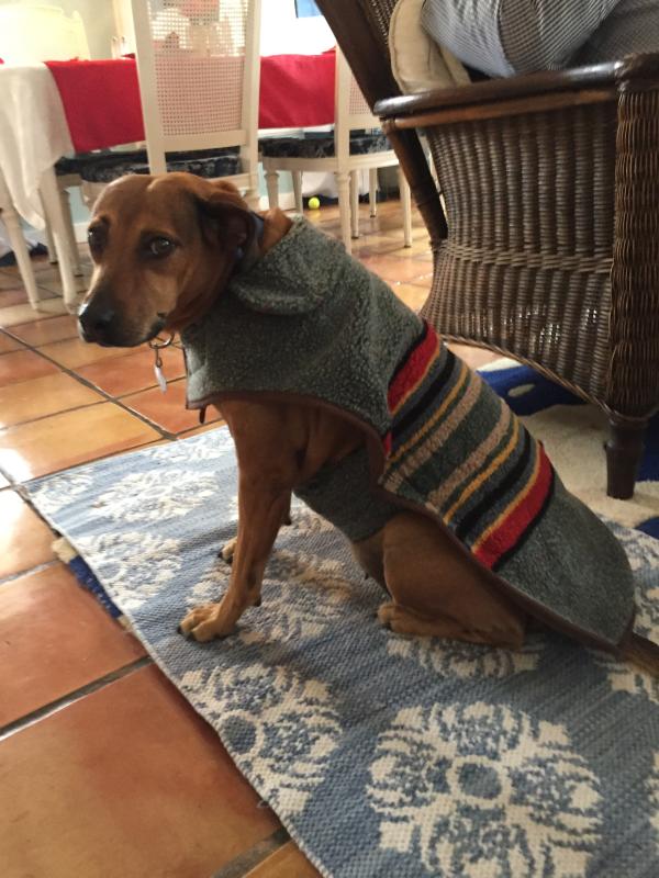 Review Thumbnail Image 0 215887422