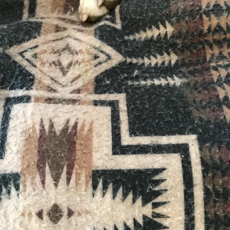 Review Thumbnail Image 0 206666141