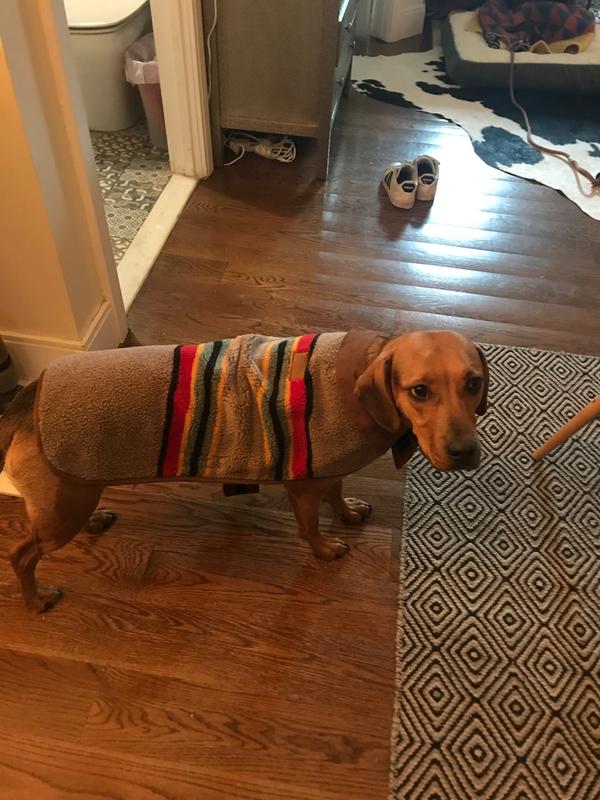 Review Thumbnail Image 1 216537438