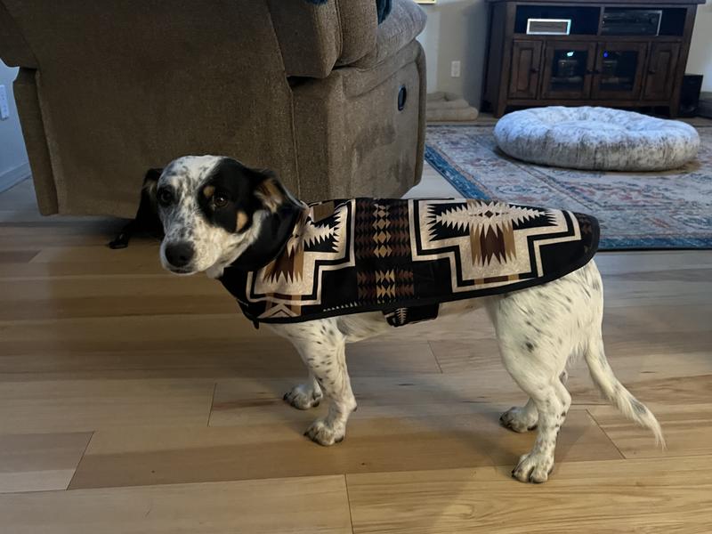 Pendleton wool shop dog coat