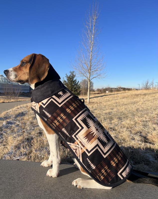 Pendleton wool outlet dog coat