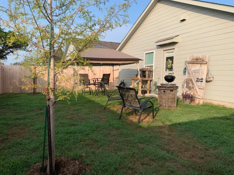 2 1/2 months after over seeding backyard