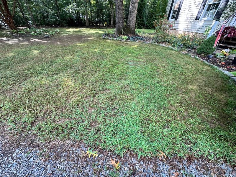 Covering bare spots.