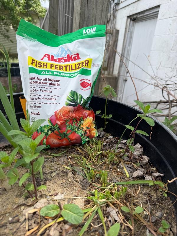 Review photo 6.