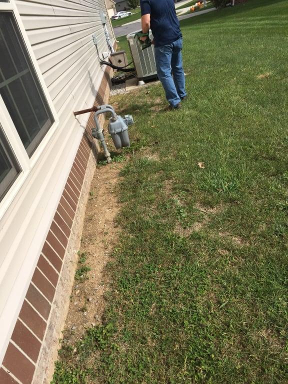 The side of the house needs grass