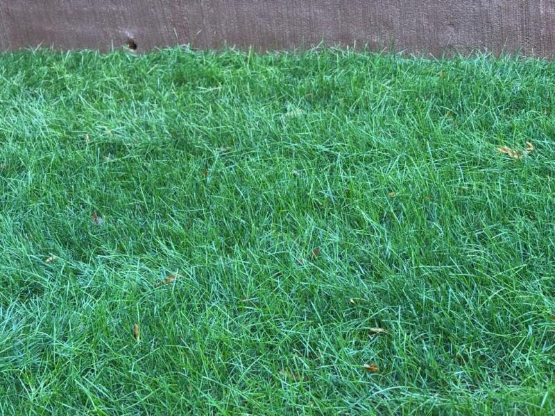 Review photo 6.