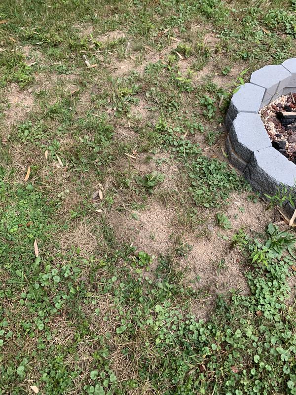 Before (taken in early October)