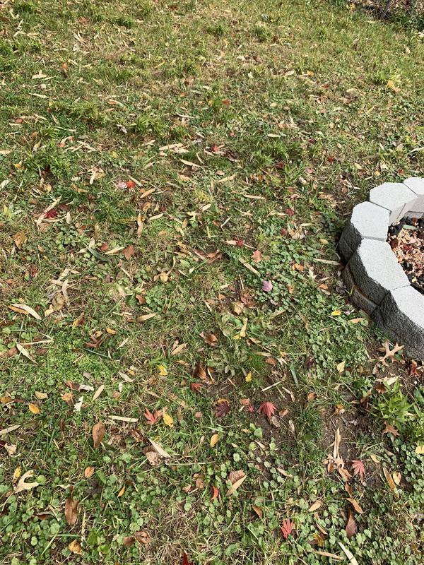 After ( taken in November)