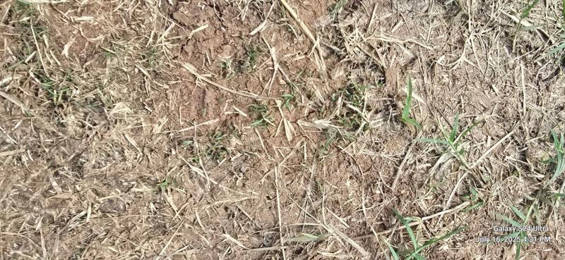 Slow starting but I didn't have much to start with