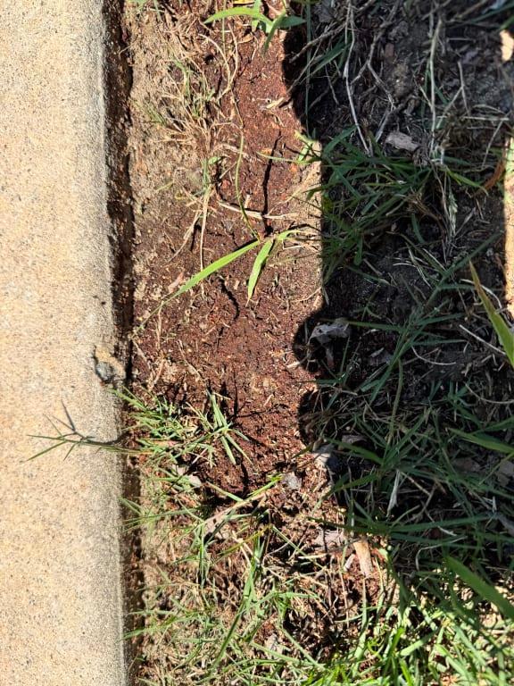 Still bare after 2 weeks