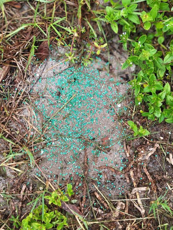 Bare spot with seed