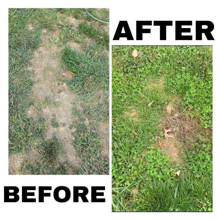 Before and after of the patch