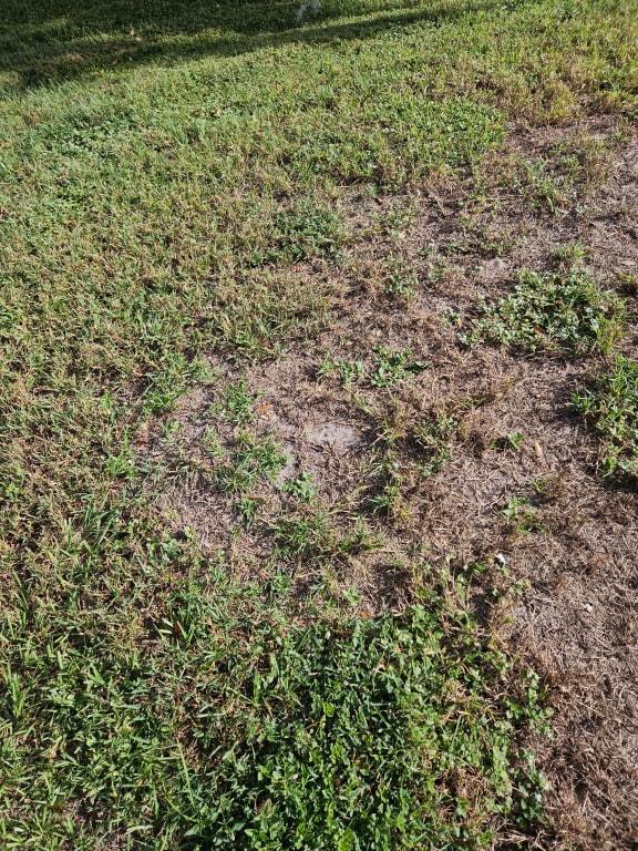 Week 1 starting to grow