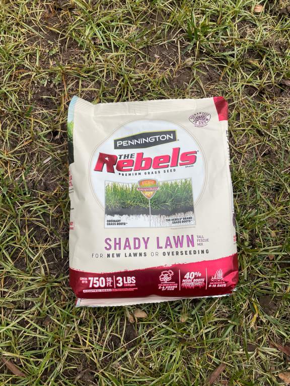 The seed that i picked